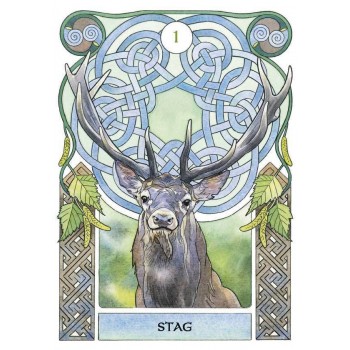 Celtic Astrology Oracle Kortos Lo Scarabeo